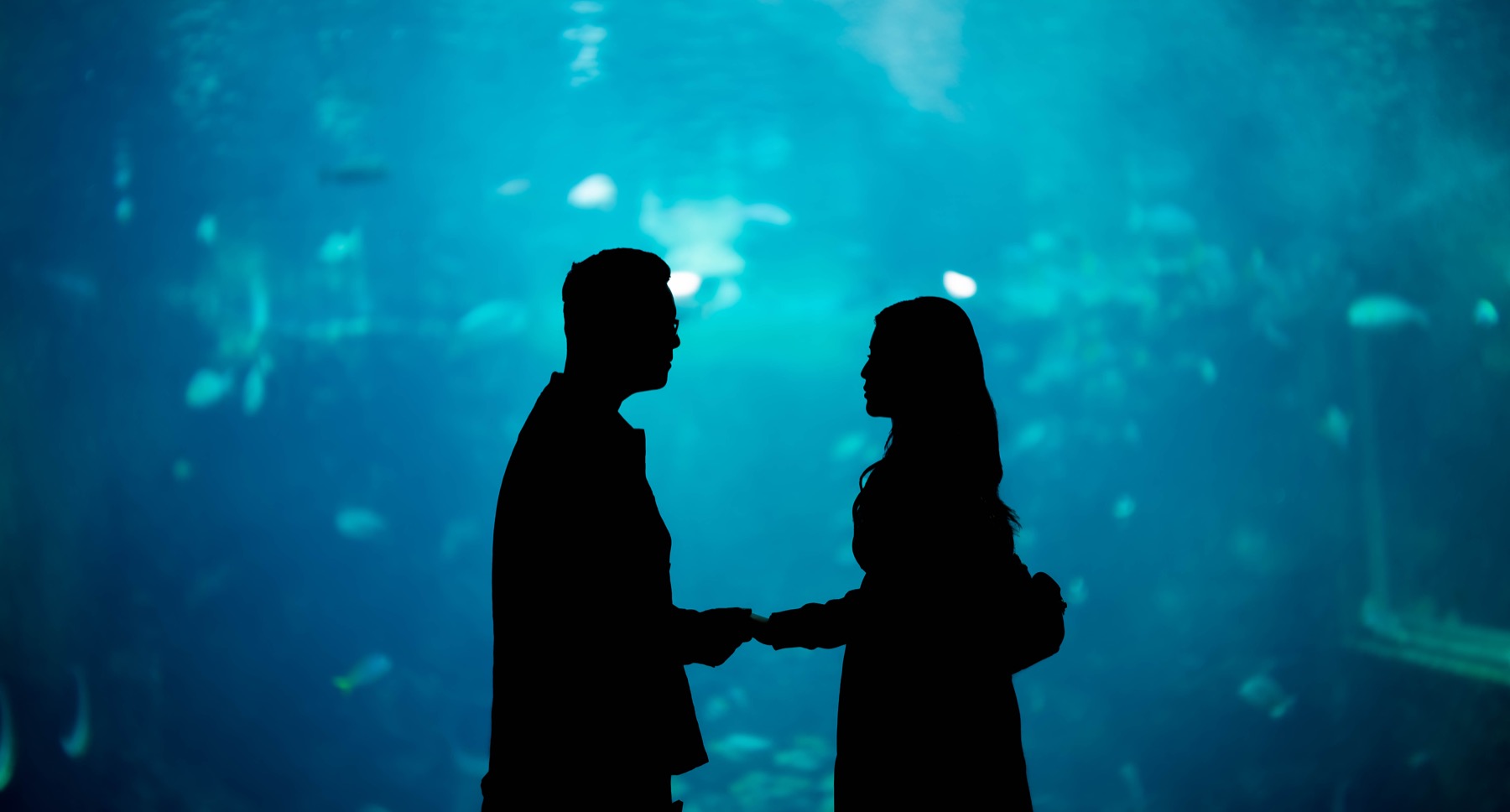 Declann and Afrina silhouetted at the aquarium